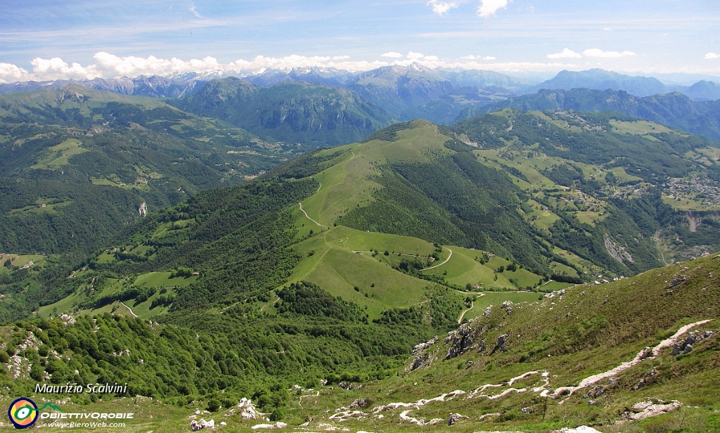 58 Il verdeggiante Est. Costa del Palio..JPG